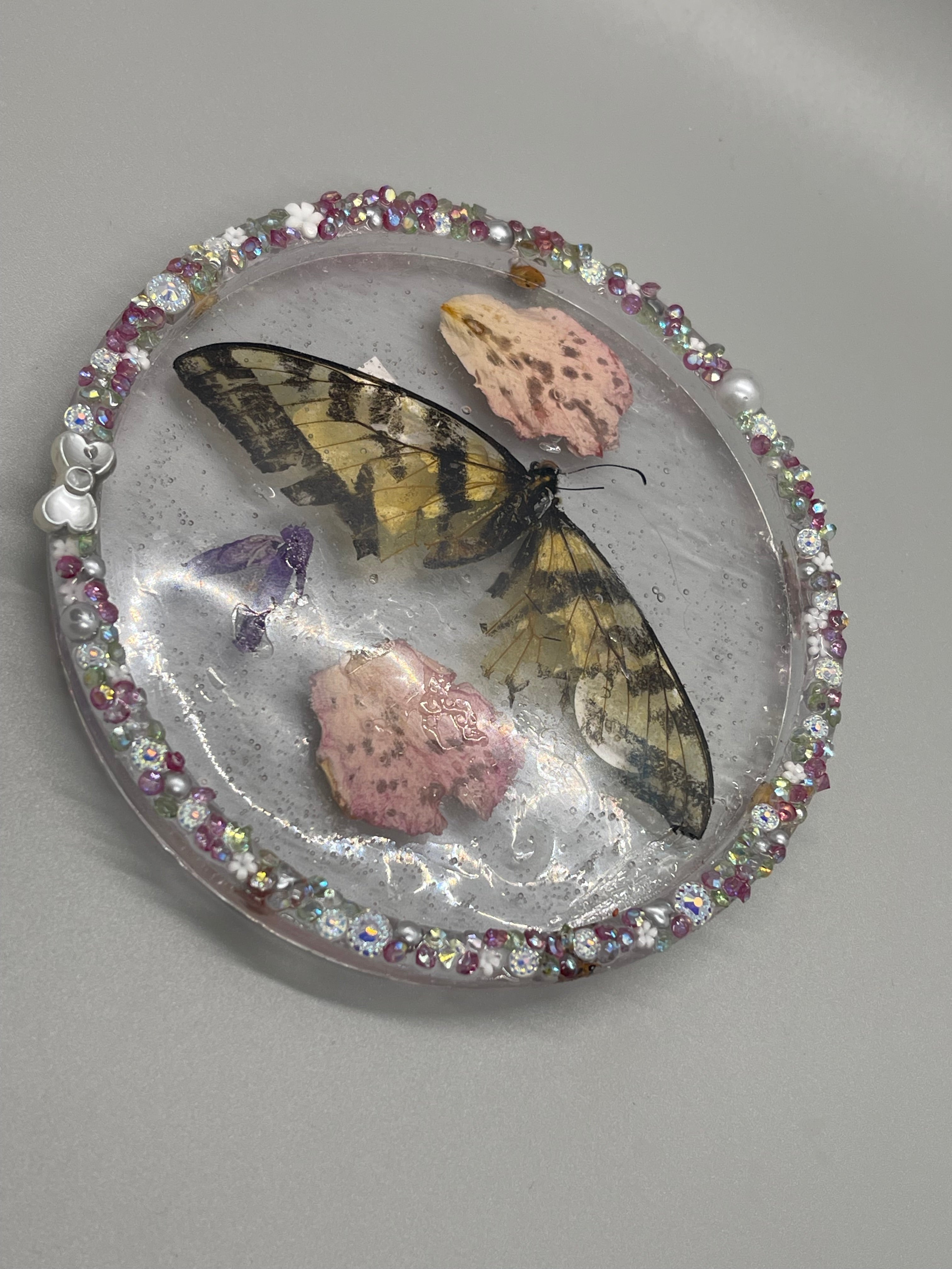 Butterfly coaster