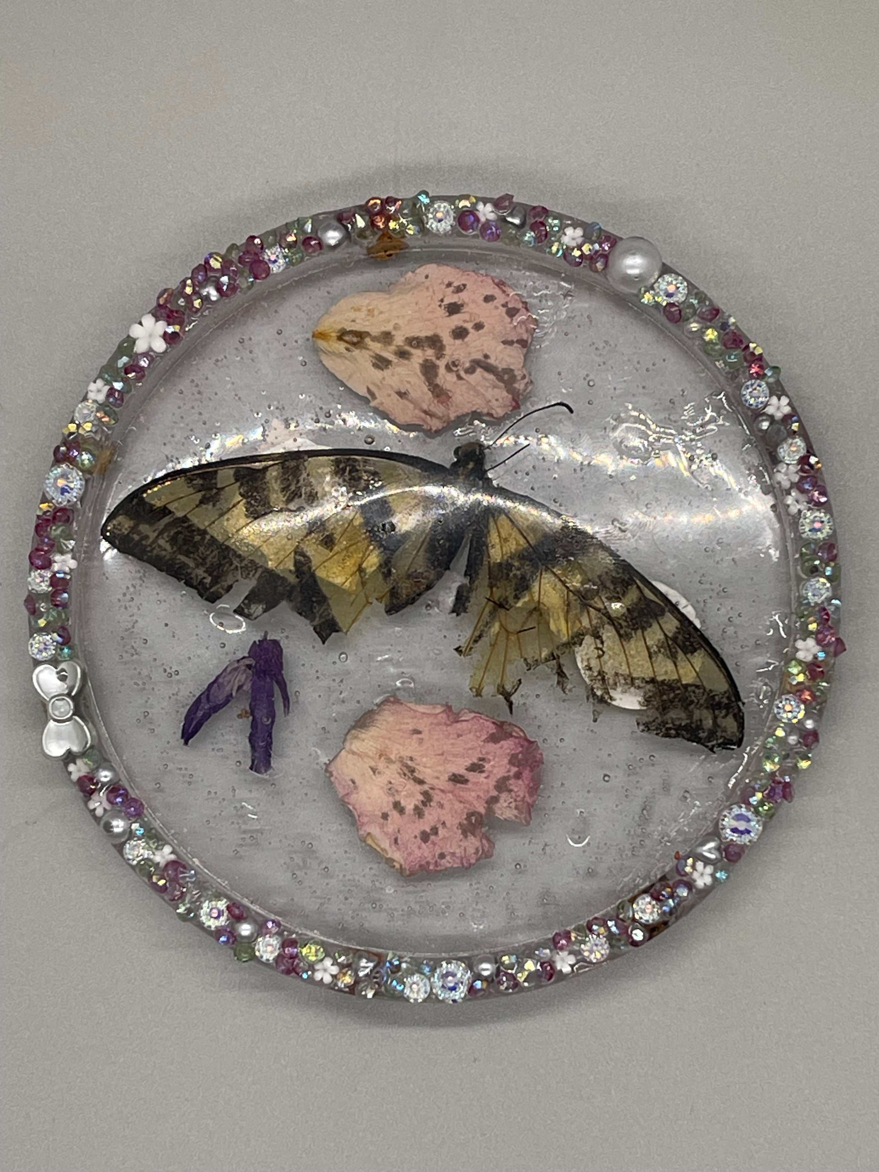 Butterfly coaster